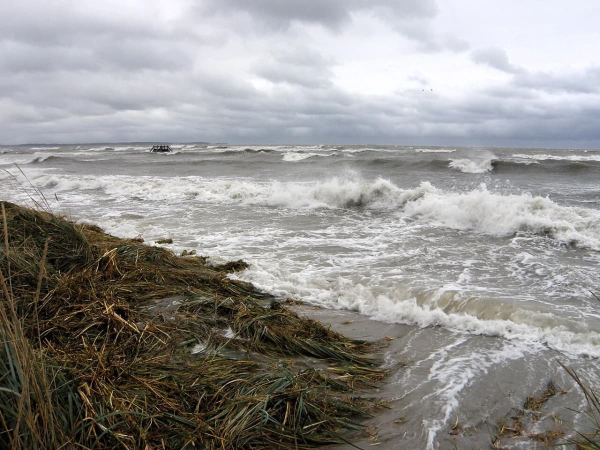 Stormfloden i 2023