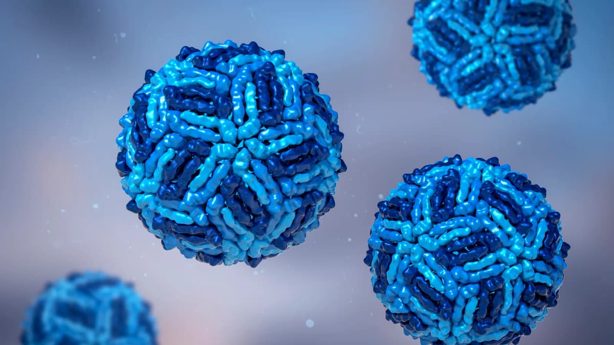 Vestnil virus